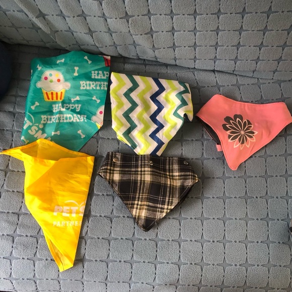 Dog Bandanna Bundle of 5 very cute fun bandannas including birthday one - Picture 2 of 8